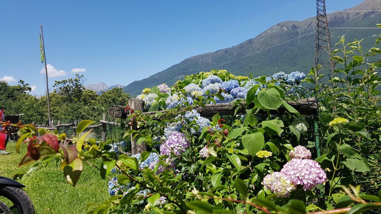 Agriturismo Volpe Golosa Morbegno Exterior foto